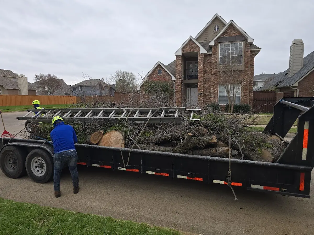 Expert Tree Fertilization with proper safety equipment in Wasilla
